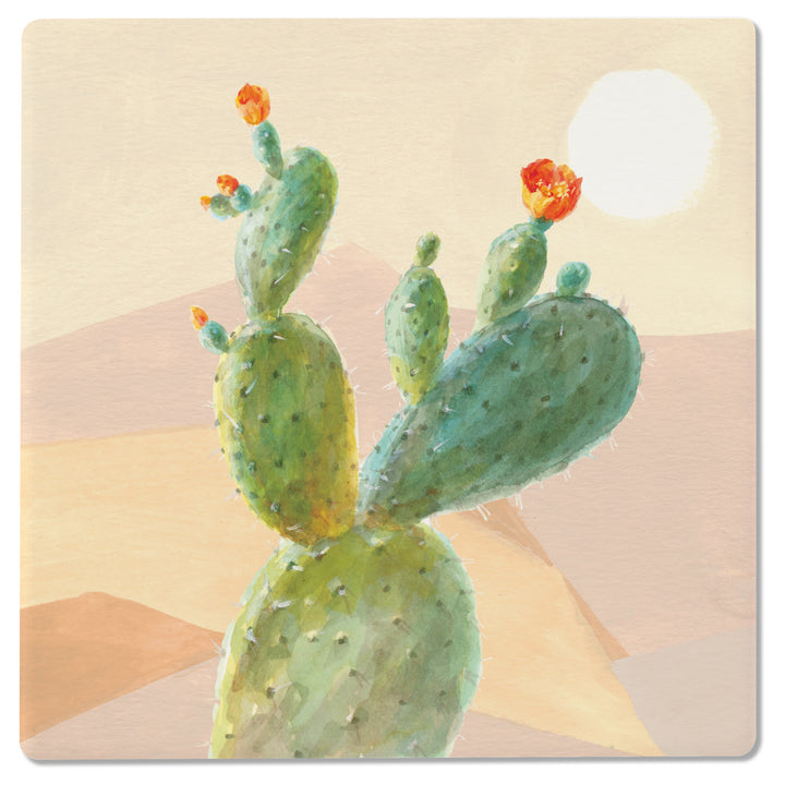 Desert Greenhouse Coasters