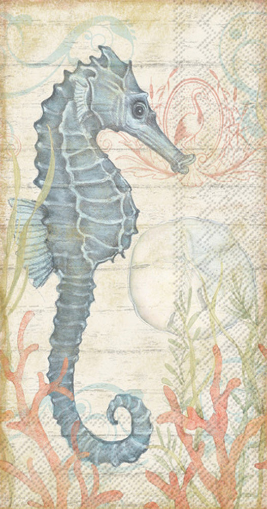 GUEST/SEAHORSE AND CORAL