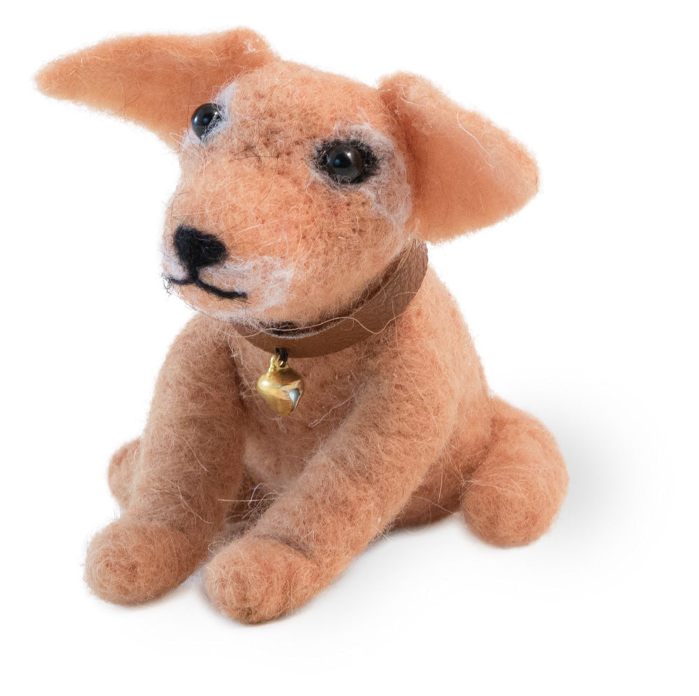 Tanner The Dog