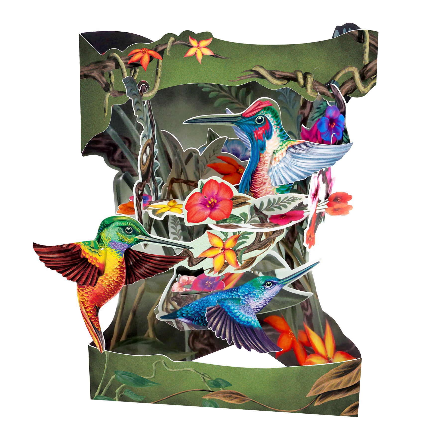 Hummingbirds Display Card