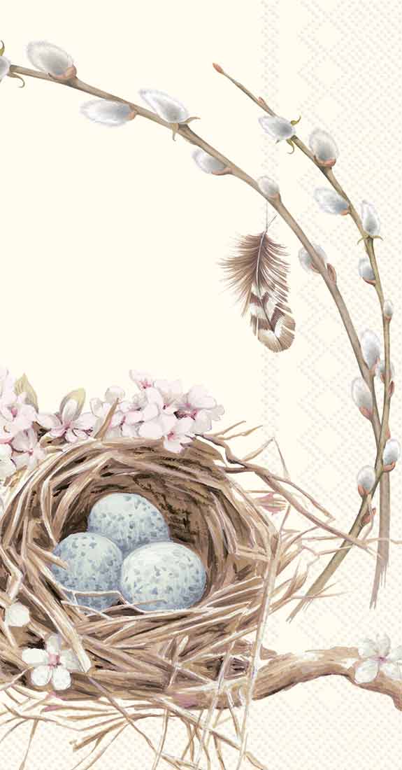 GUEST/BIRDS NEST WITH EGGS