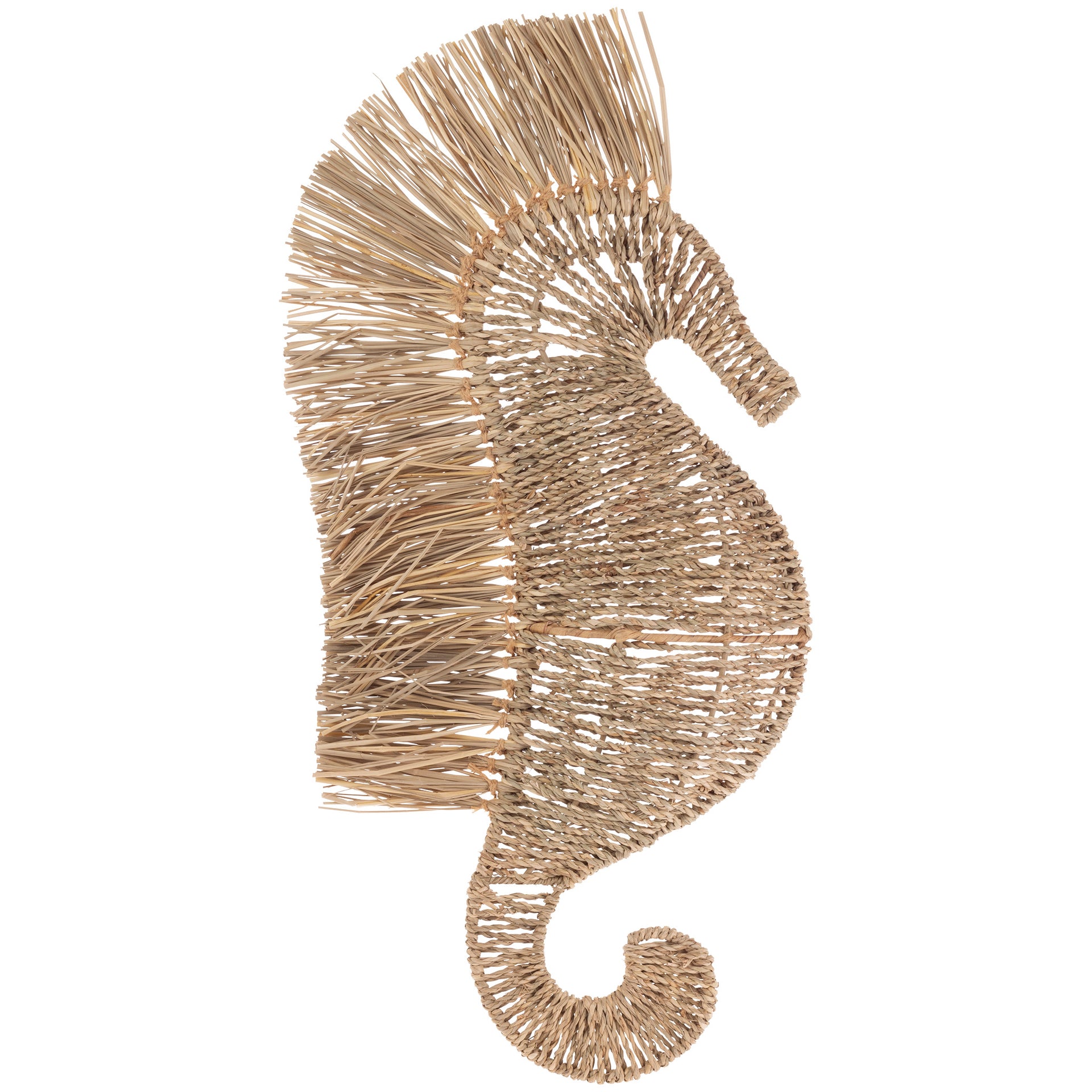 Seagrass Seahorse