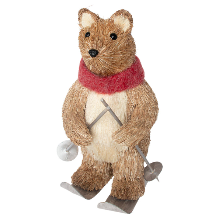 Blaze Skiing Bear
