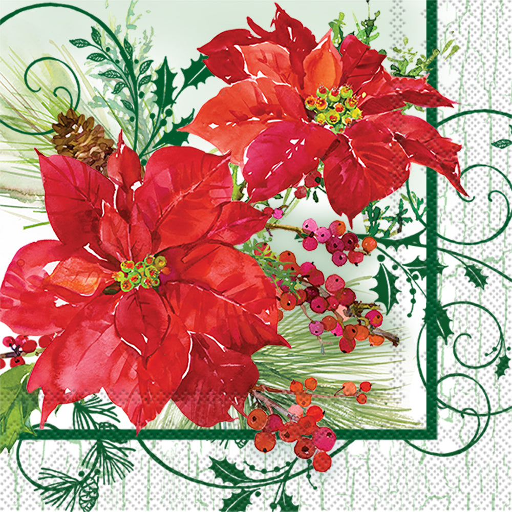 LNCH/POINSETTIA CRACKLE