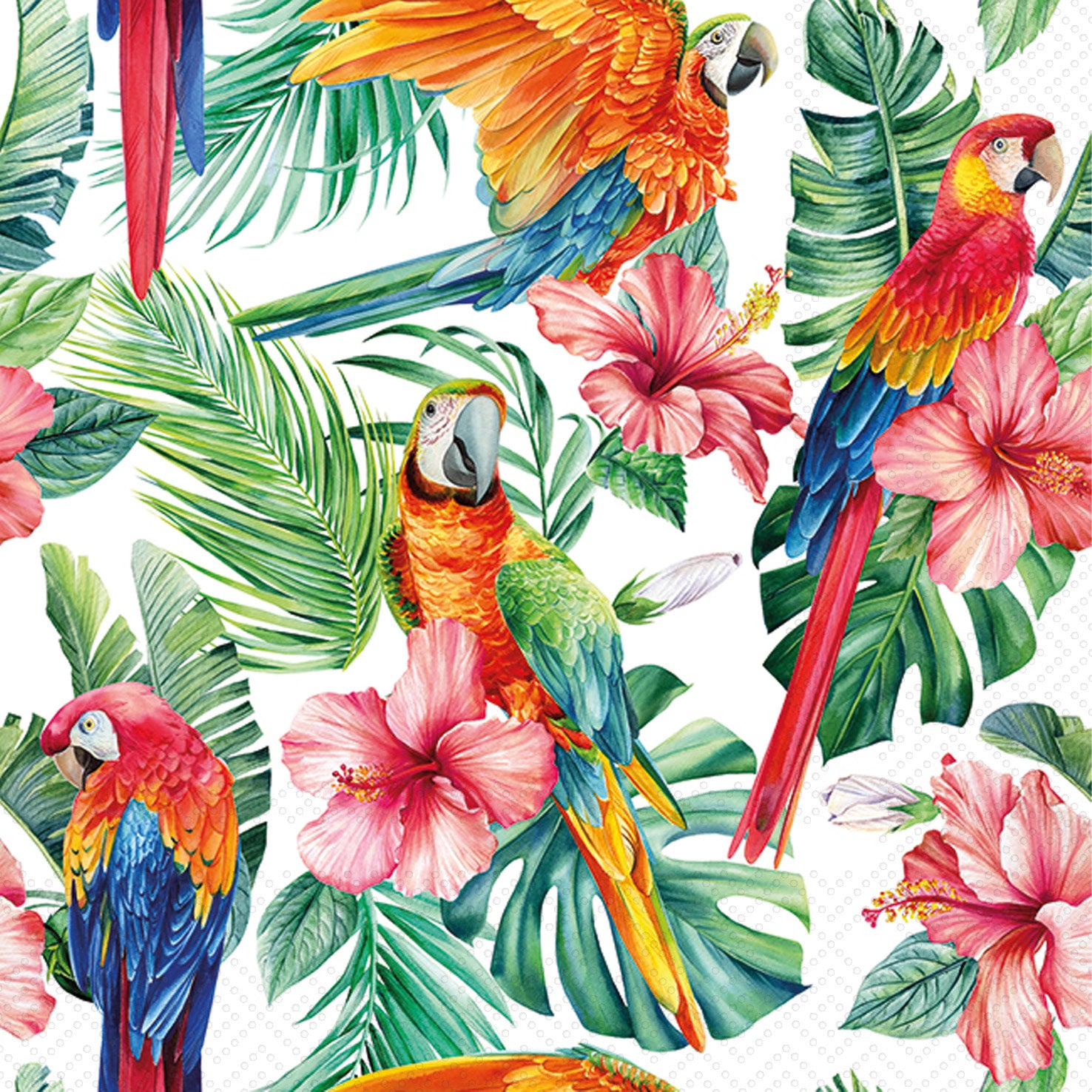 CKTL/SCARLET MACAW & HIBISCUS