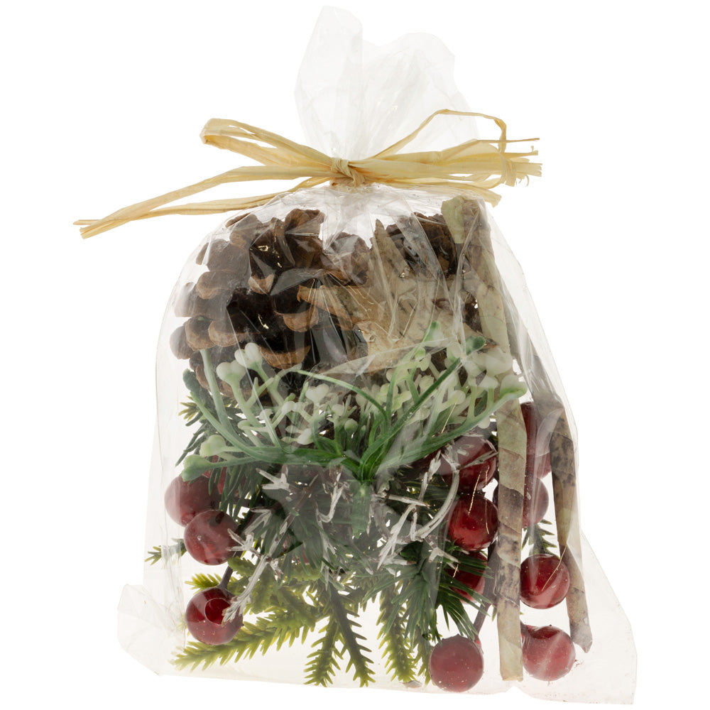 BAG OF RED BERRY HOLIDAY SCATTER