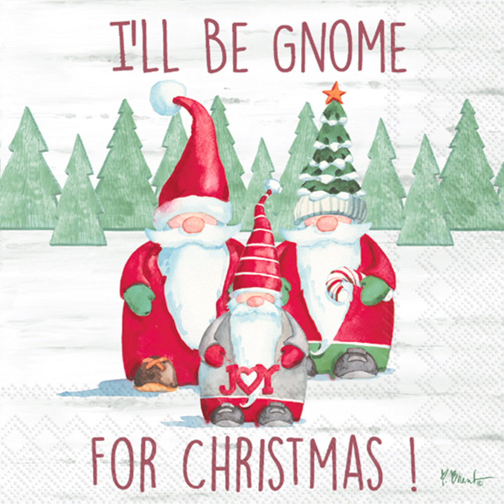 LNCH/GNOME FOR CHRISTMAS