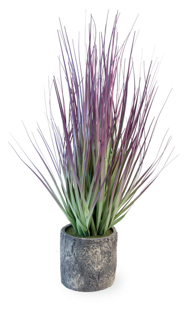 PURPLE GRASS