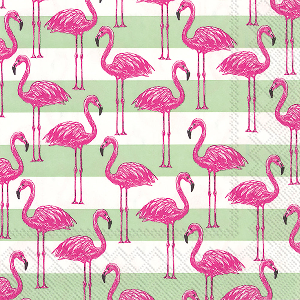 CKTL/FLAMINGO STRIPE