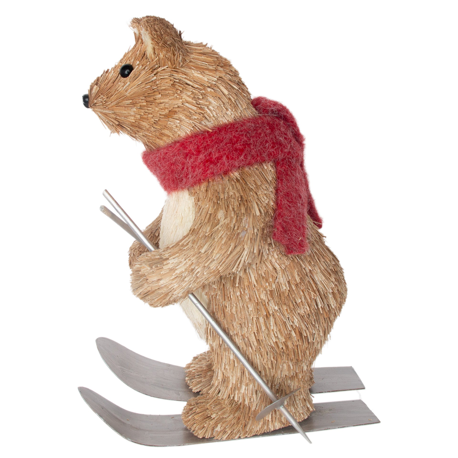 Blaze Skiing Bear