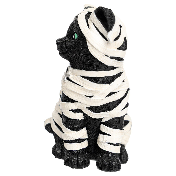 Mummy Cat