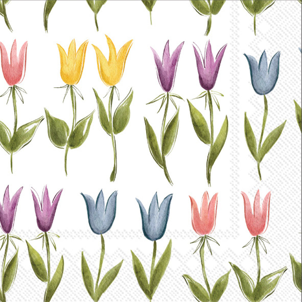 LNCH/TULIP PATTERN