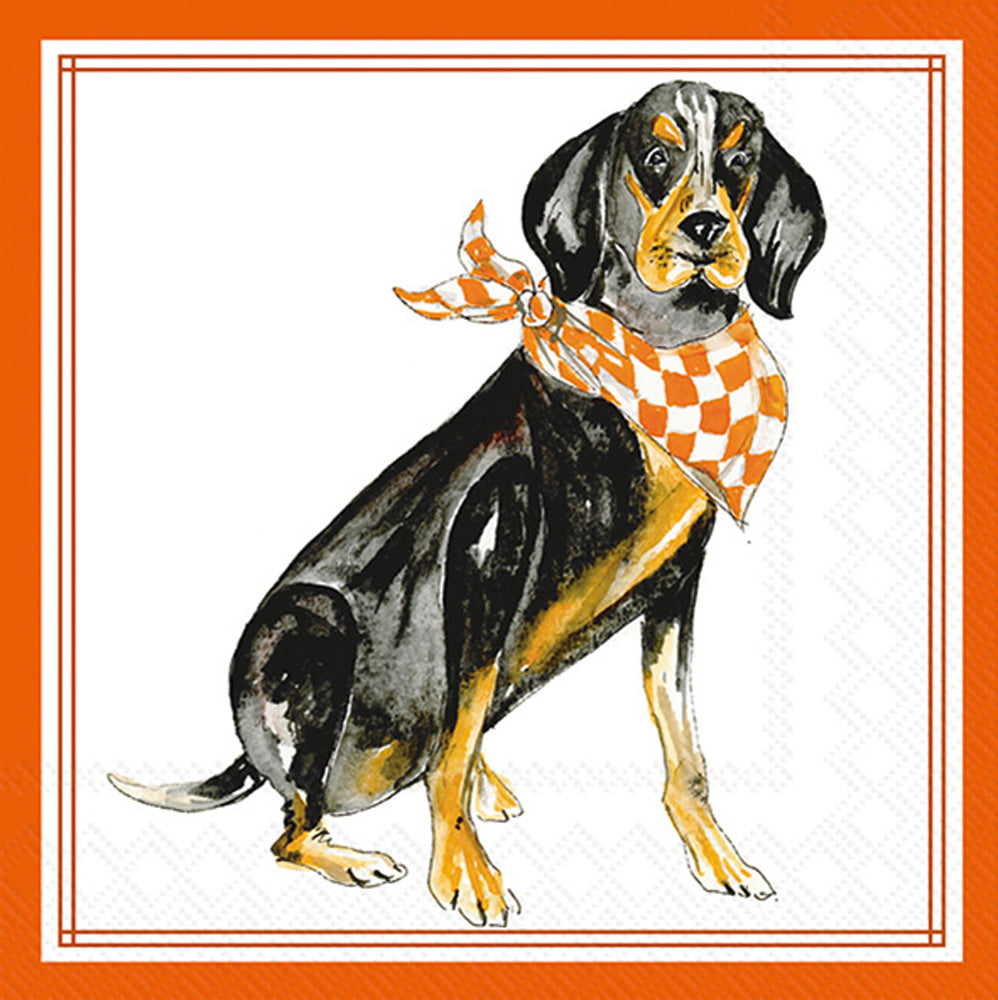 CKTL/ORANGE COONHOUND HOMETOWN PRIDE