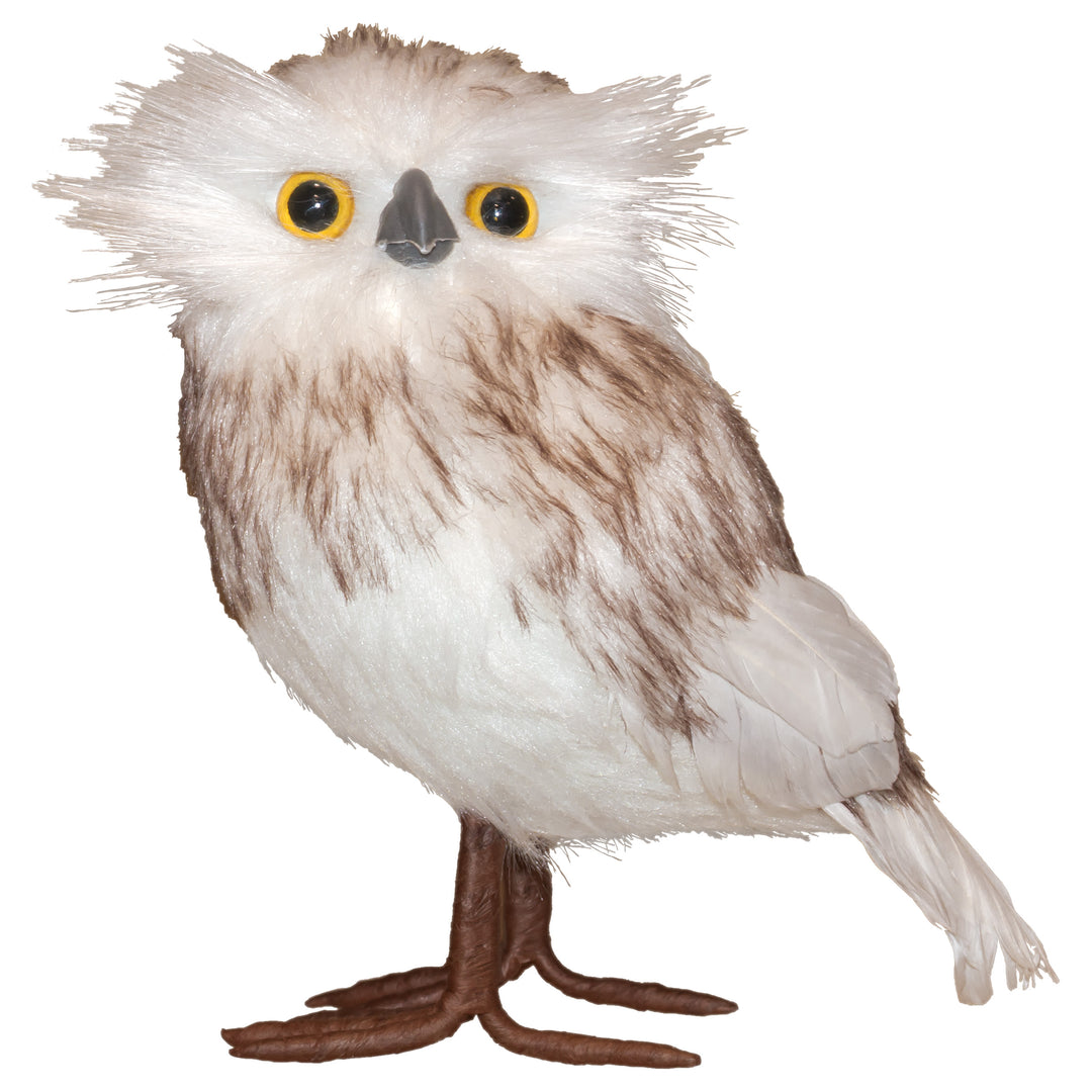 Snowy Fledgling Owl