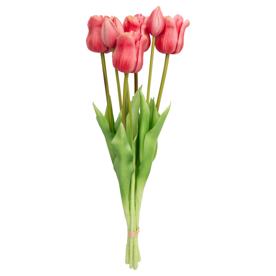 Long Stem Dark Pink Tulips