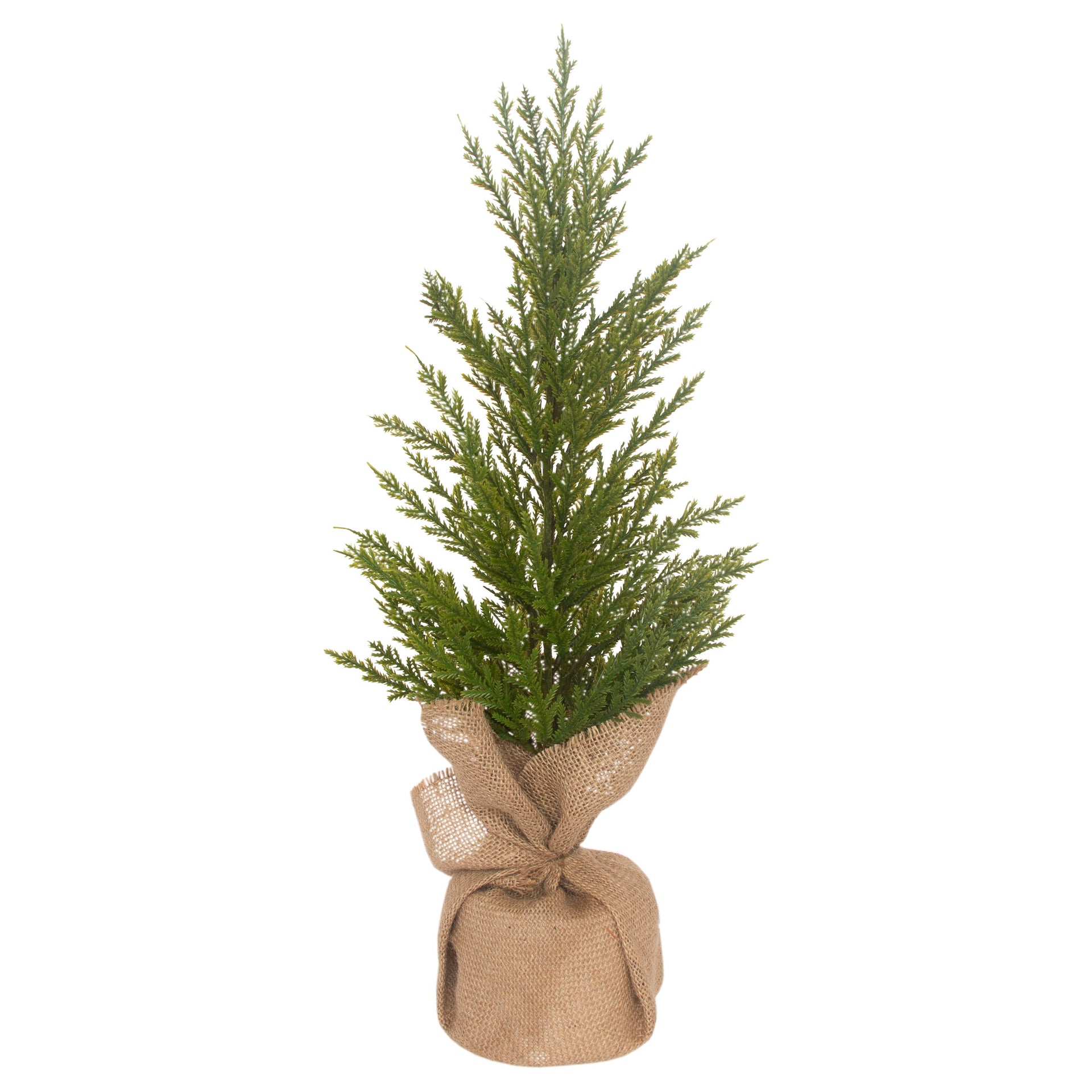 Winter Fir Tree Medium