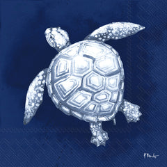 CKTL/DARK SEA SEA TURTLE