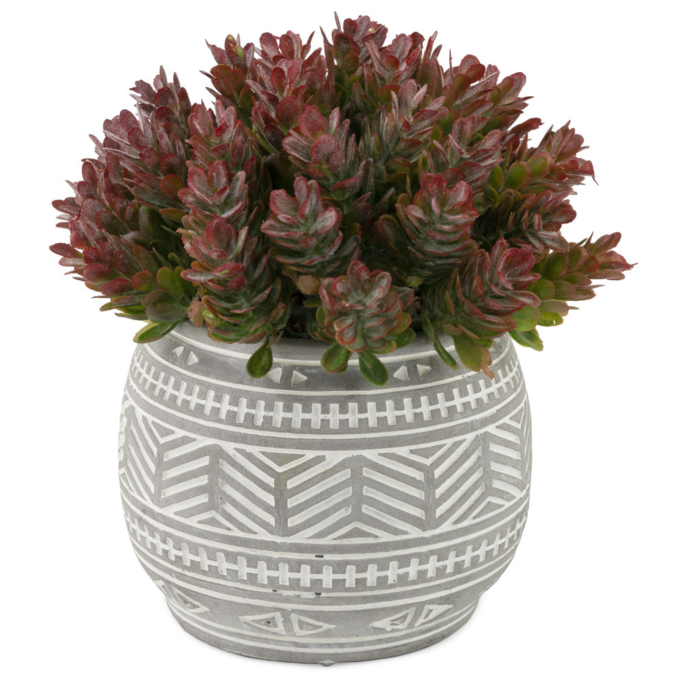 PURPLE SEDUM GREY POT