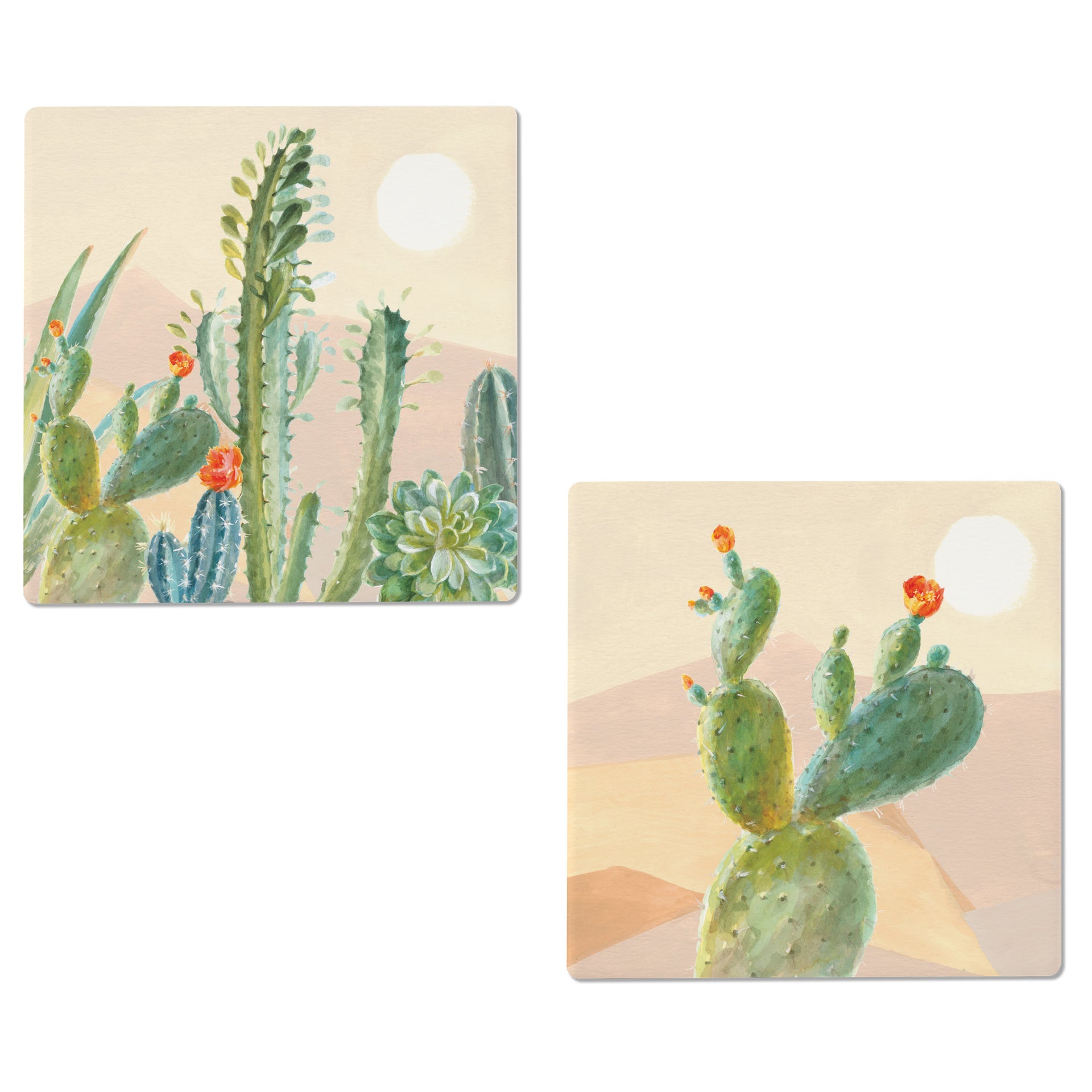 Desert Greenhouse Coasters