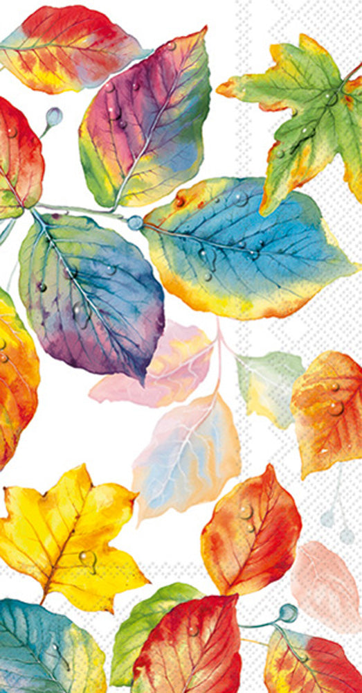 GUEST/COLORFUL LEAVES