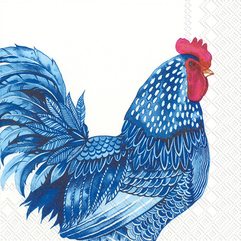 LNCH/BLUE PLUMAGE