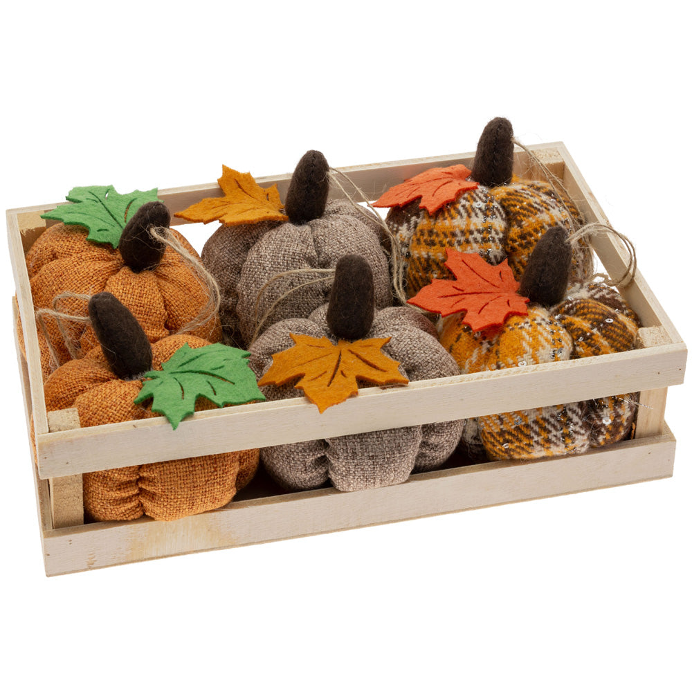 Fall Plush Pumpkins In Crate (Set of 6)