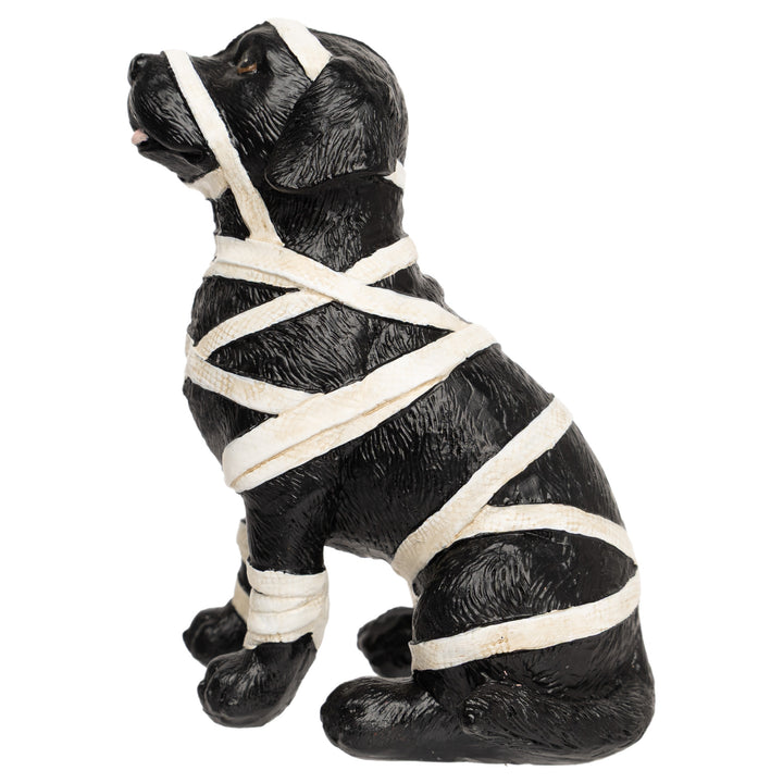 Mummy Dog