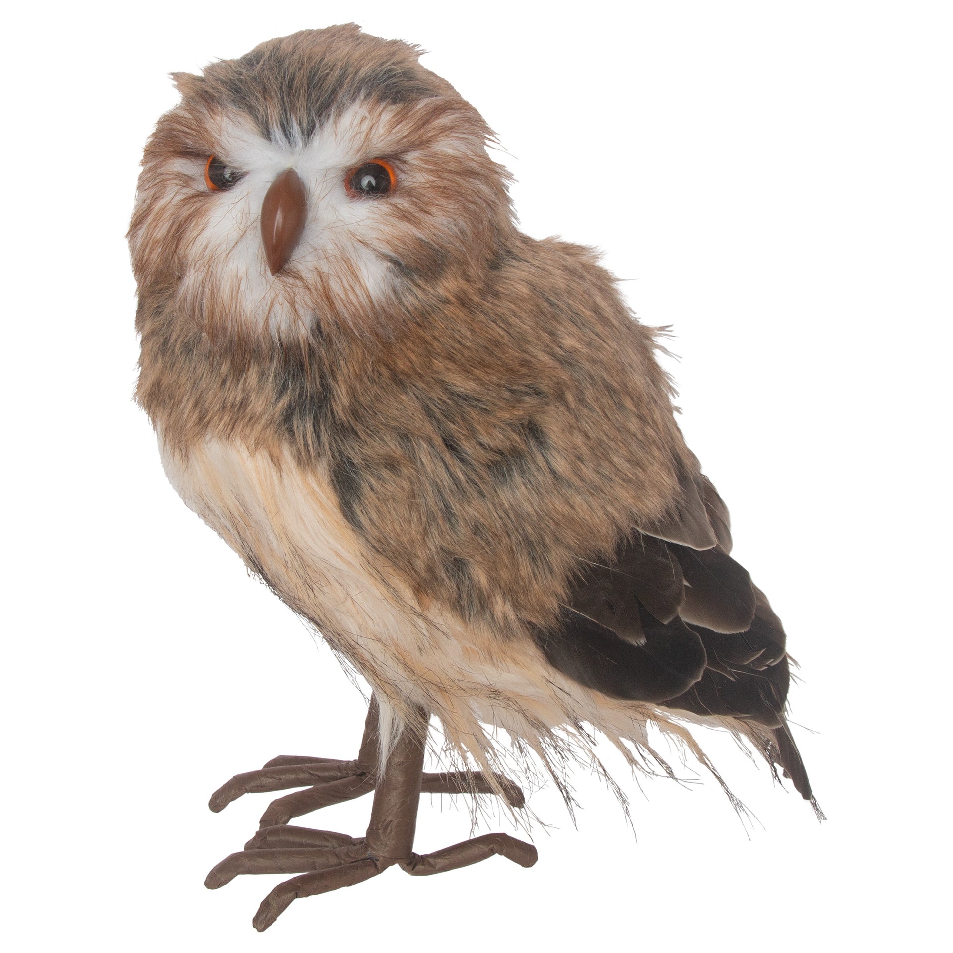 Beakman Standing Owl