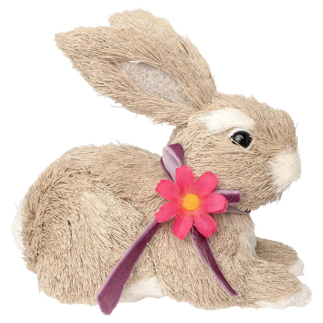 Brother Timmy Bunny