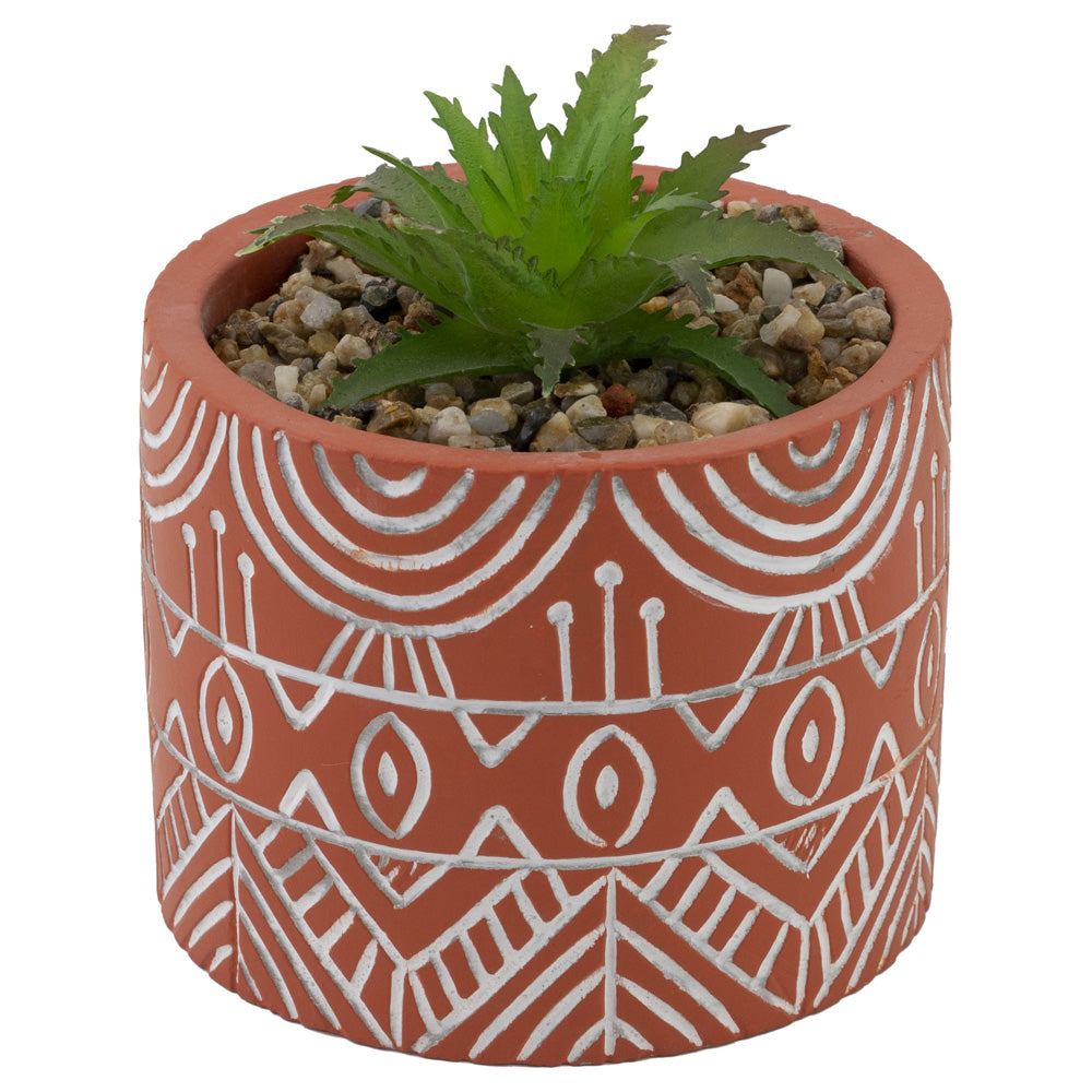 TERRACOTTA POT SUCCULENT