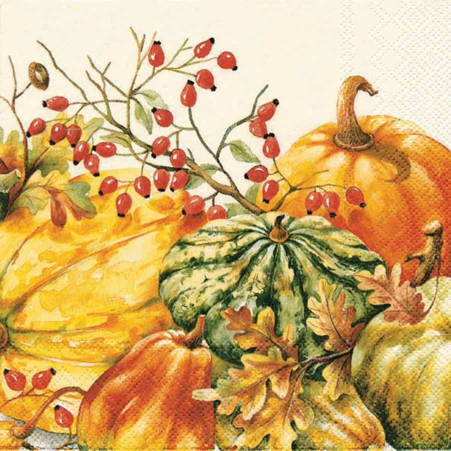 Calabaza Cocktail Napkin cream