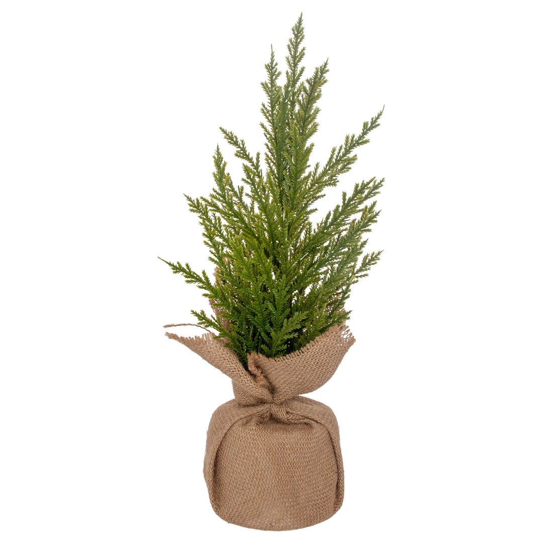 Winter Fir Tree Small