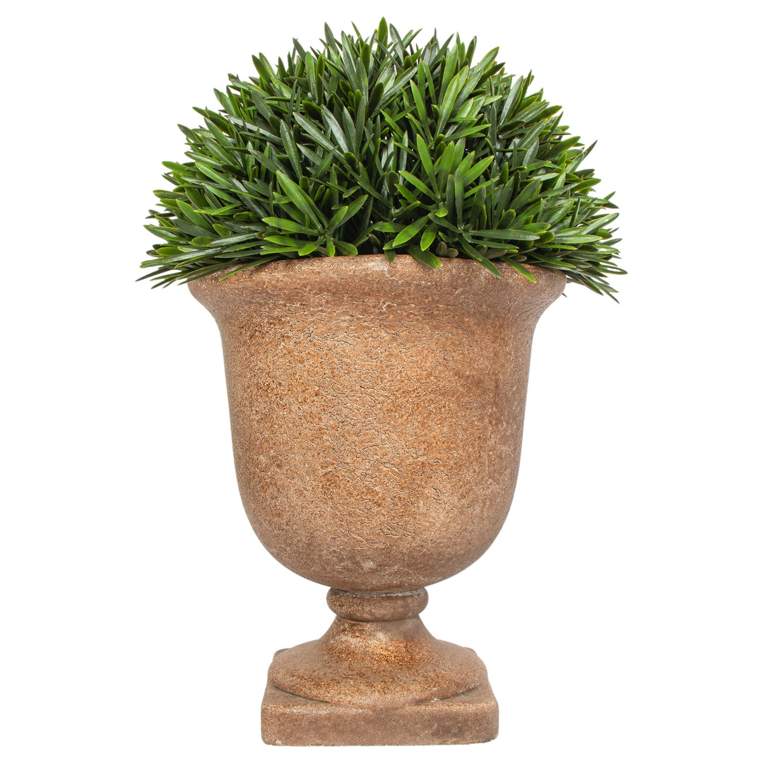 Rosemary In Urn