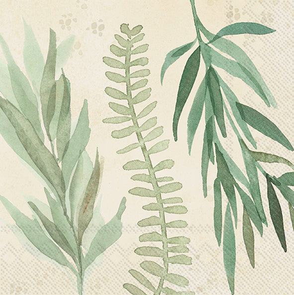 Leaf And Stem Leaves Cocktail Napkin Cream