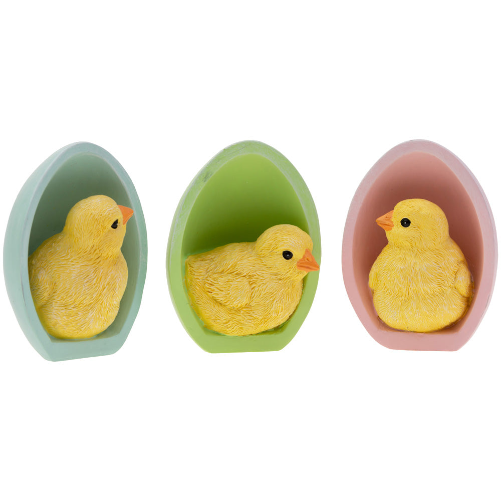 Baby Chicks In Eggs (Set Of 3)