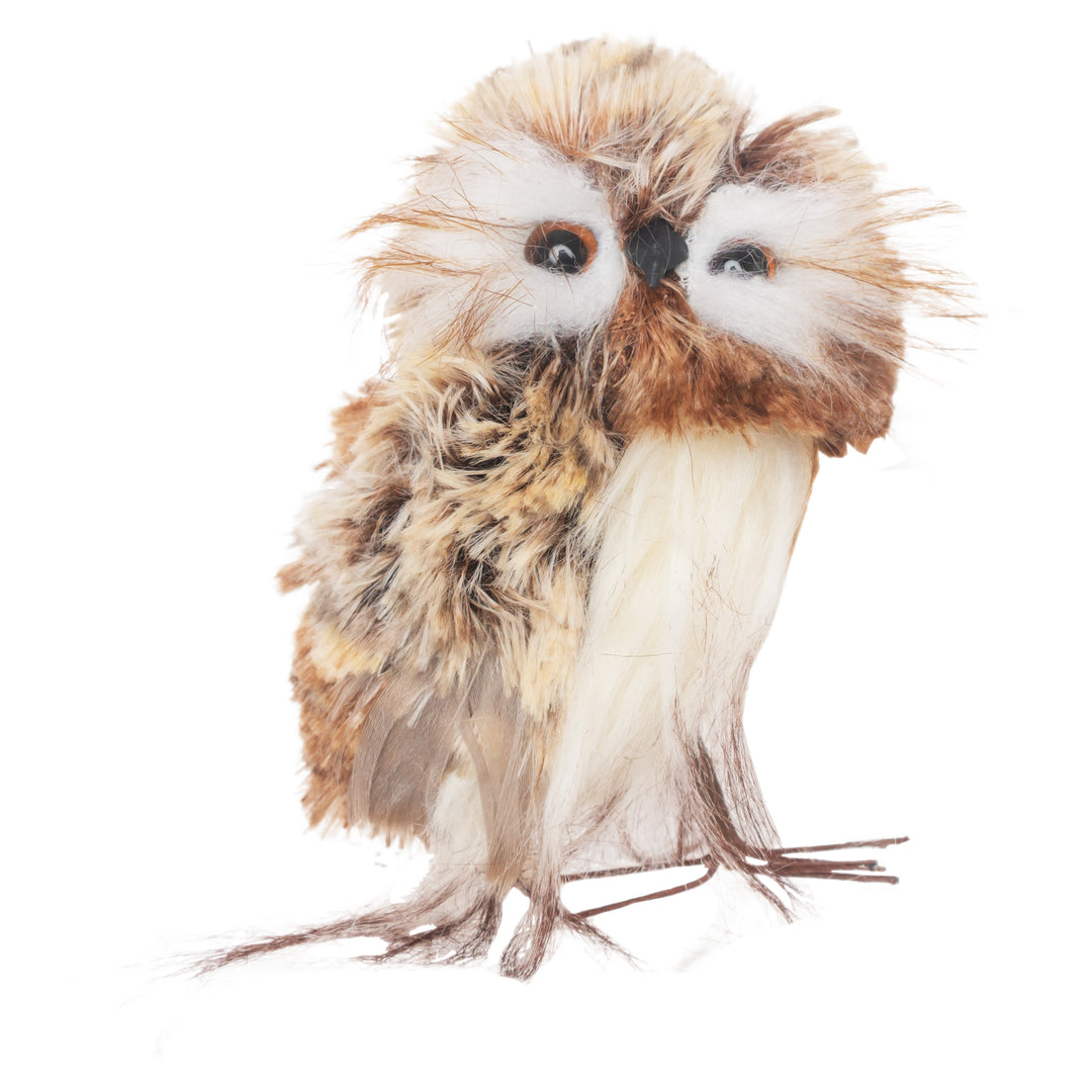 Hoot Mini Owl