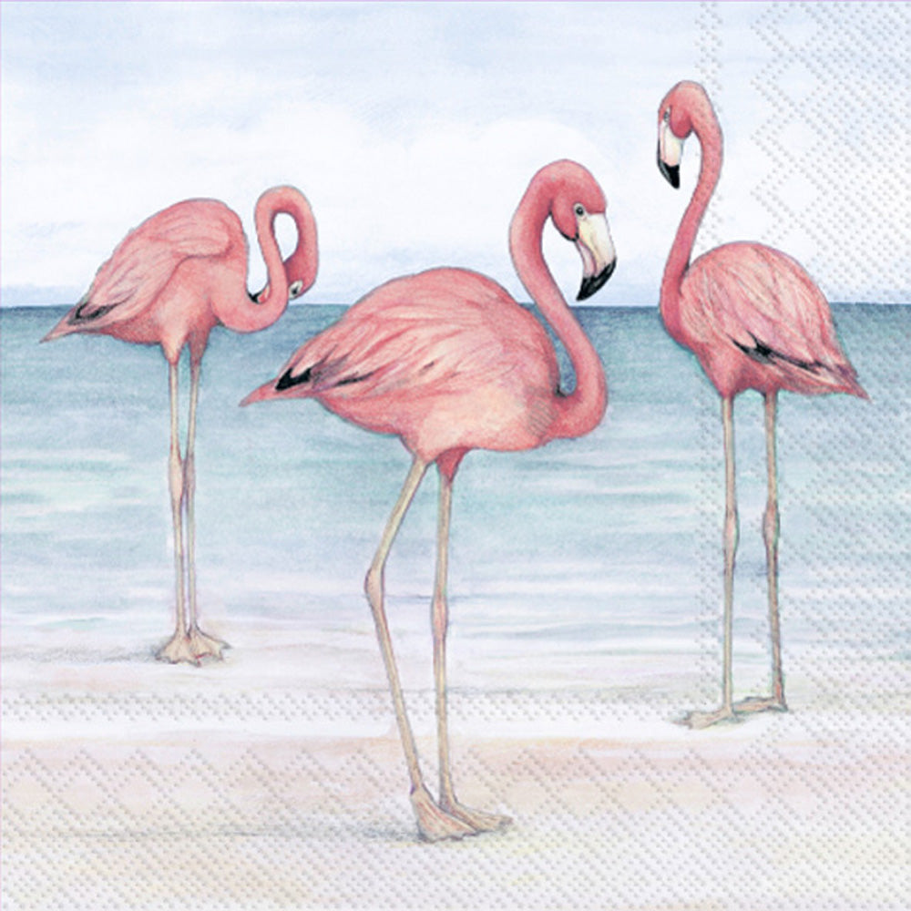 CKTL/FLAMINGO TRIO ON BEACH