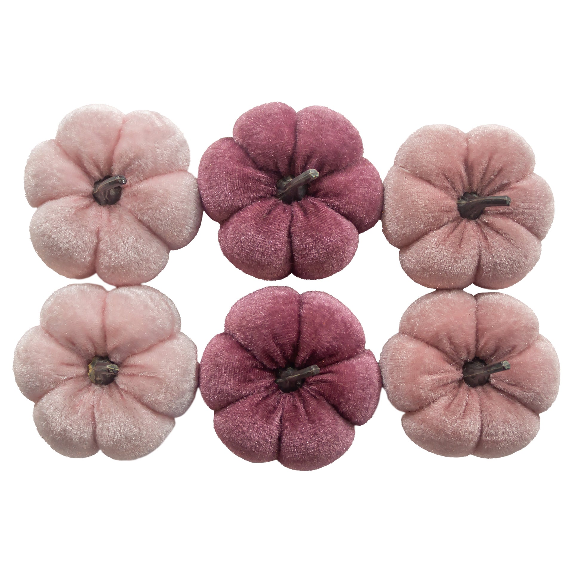 pink velvet boxed pumpkins s/6