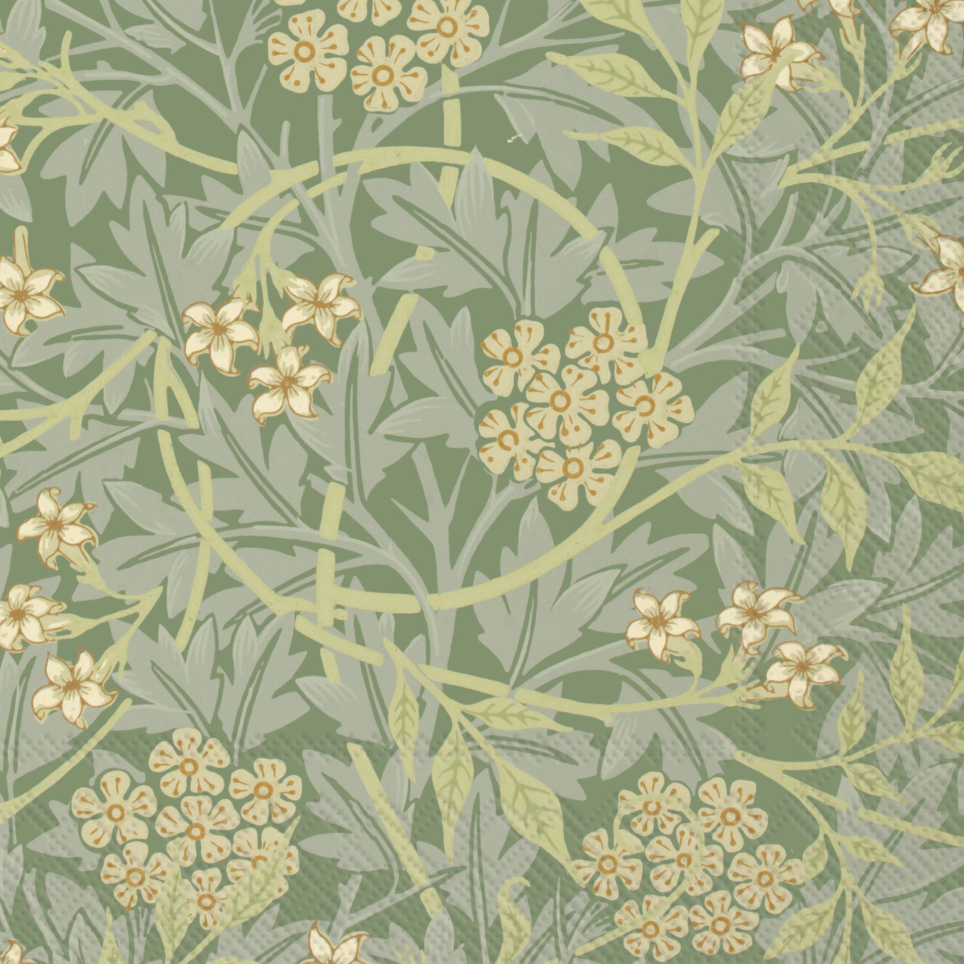 Jasmin Vines Cocktail Napkin green