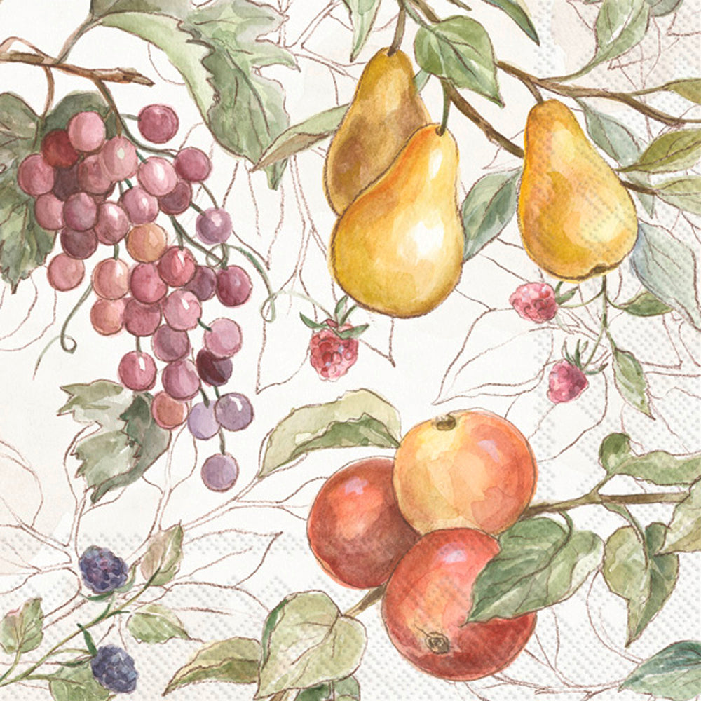 Country Fruits Cocktail Napkin Cream