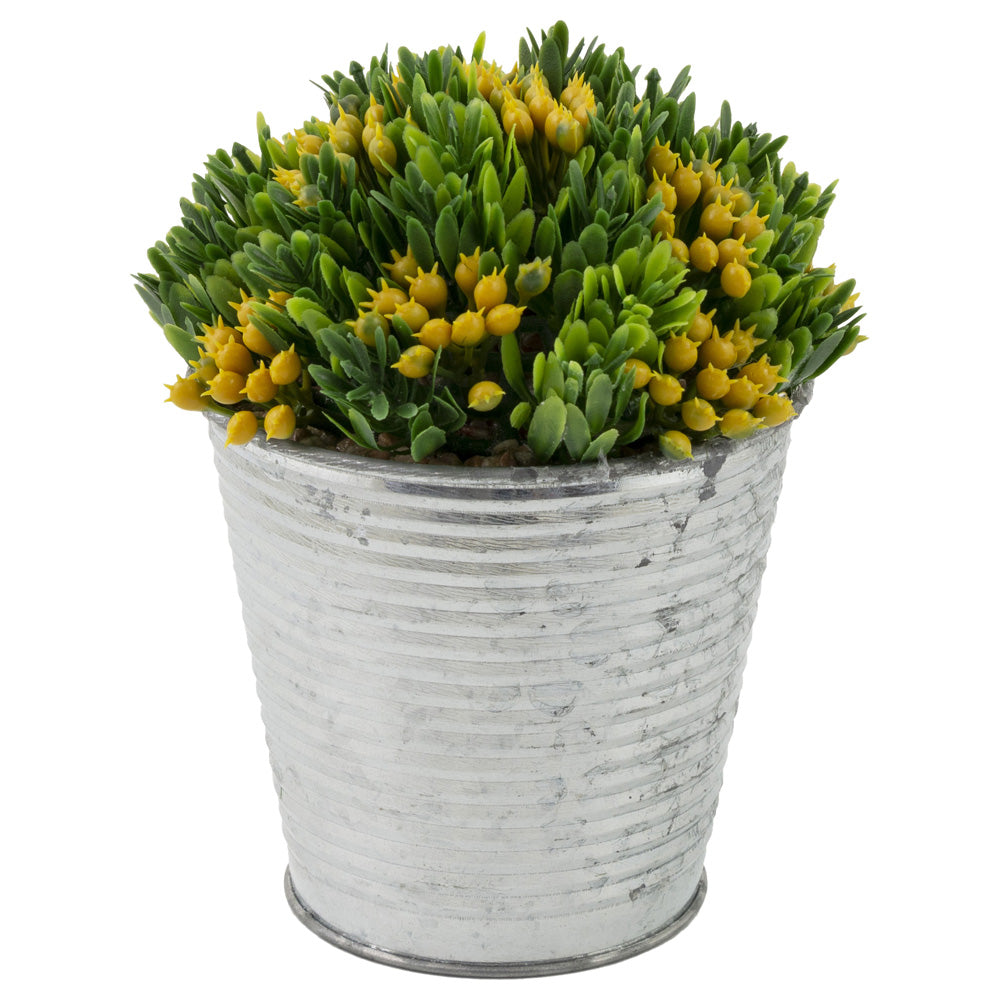 Yellow Bud Succulent Metal Can