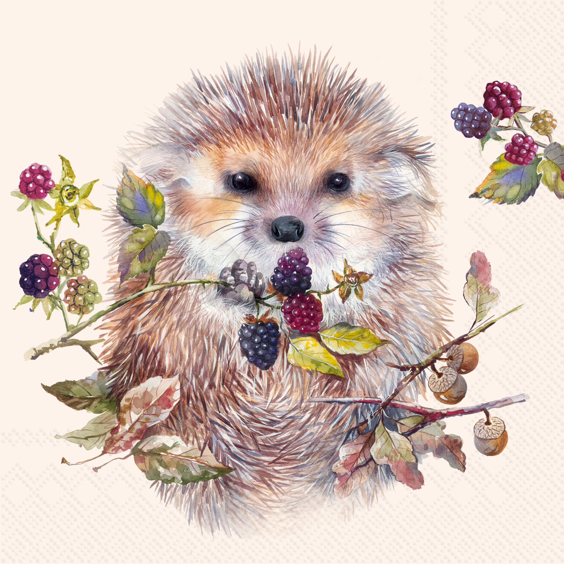 Forest Hedgehog Cocktail Napkin