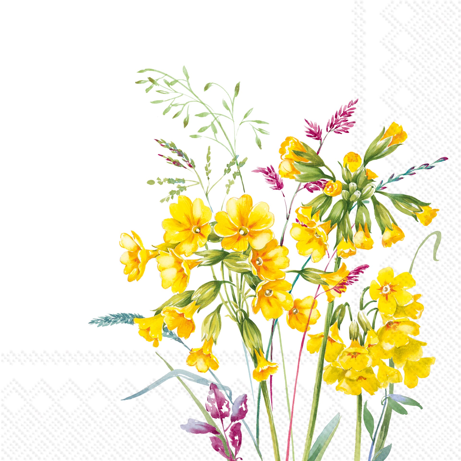 Cabrillo Cocktail Napkin