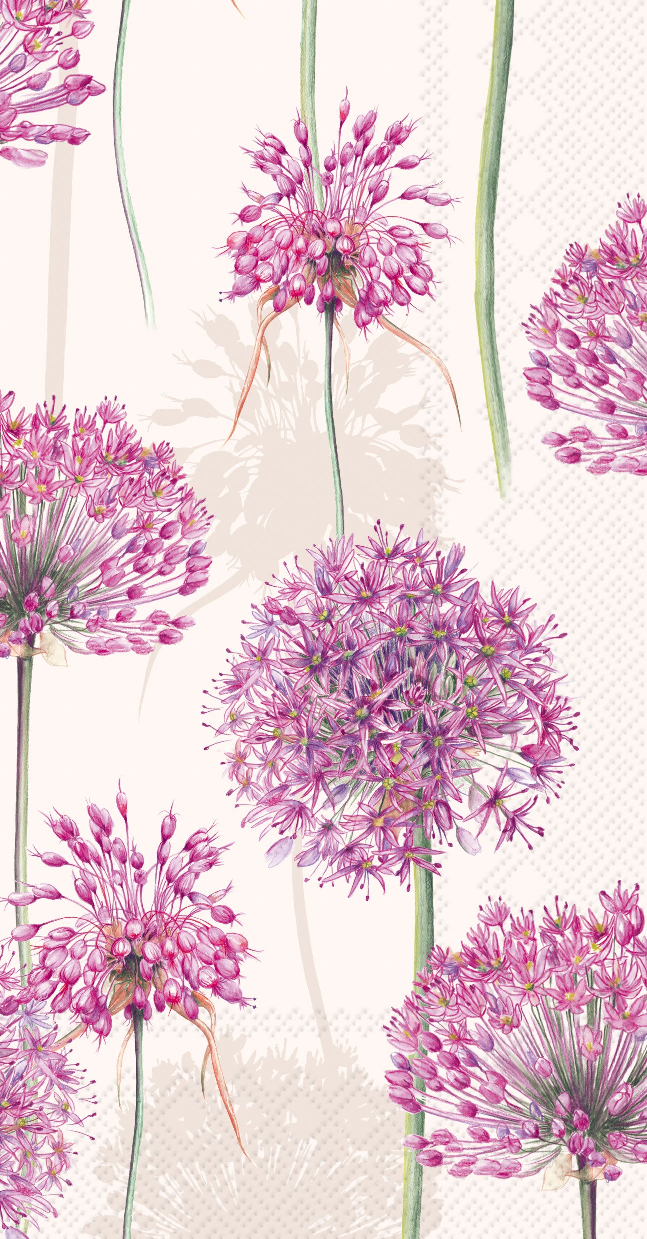 Allium Cream Guest Towel