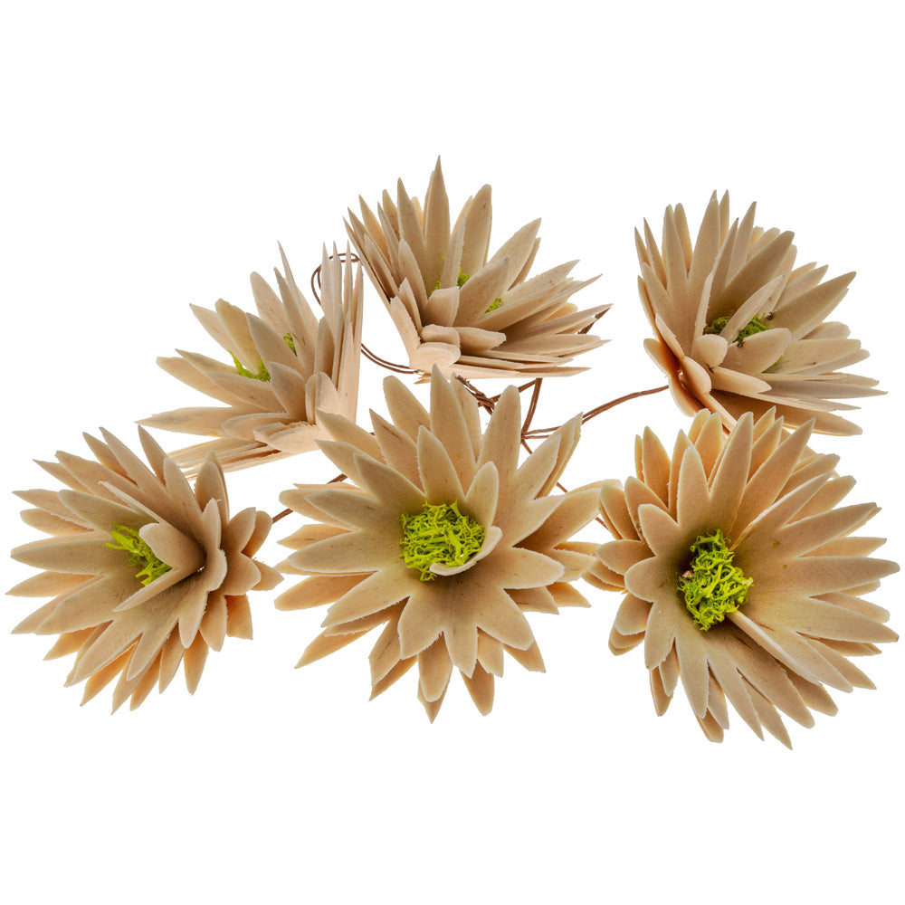 Natural Wood Curl Daisies (Set of 6)