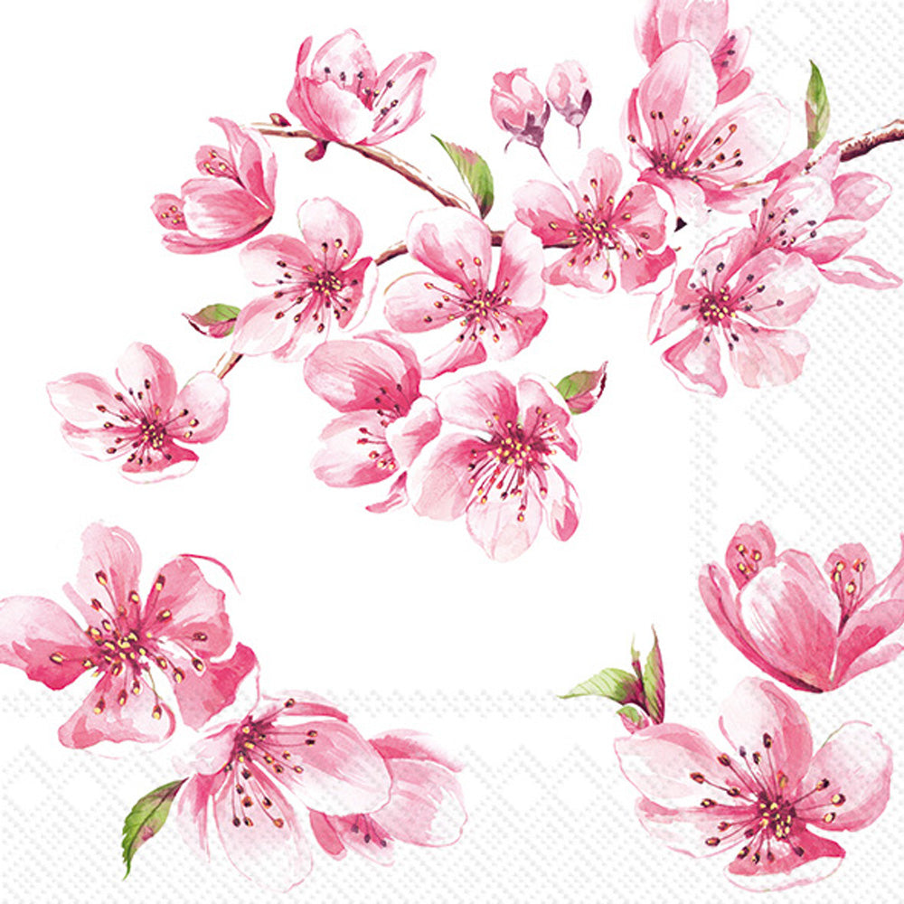 Sakura Cocktail Napkin Rose