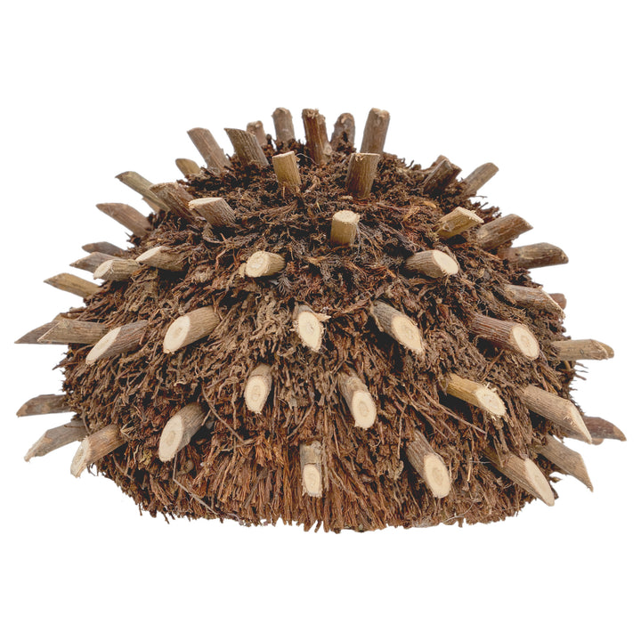 Natural Hedgehog