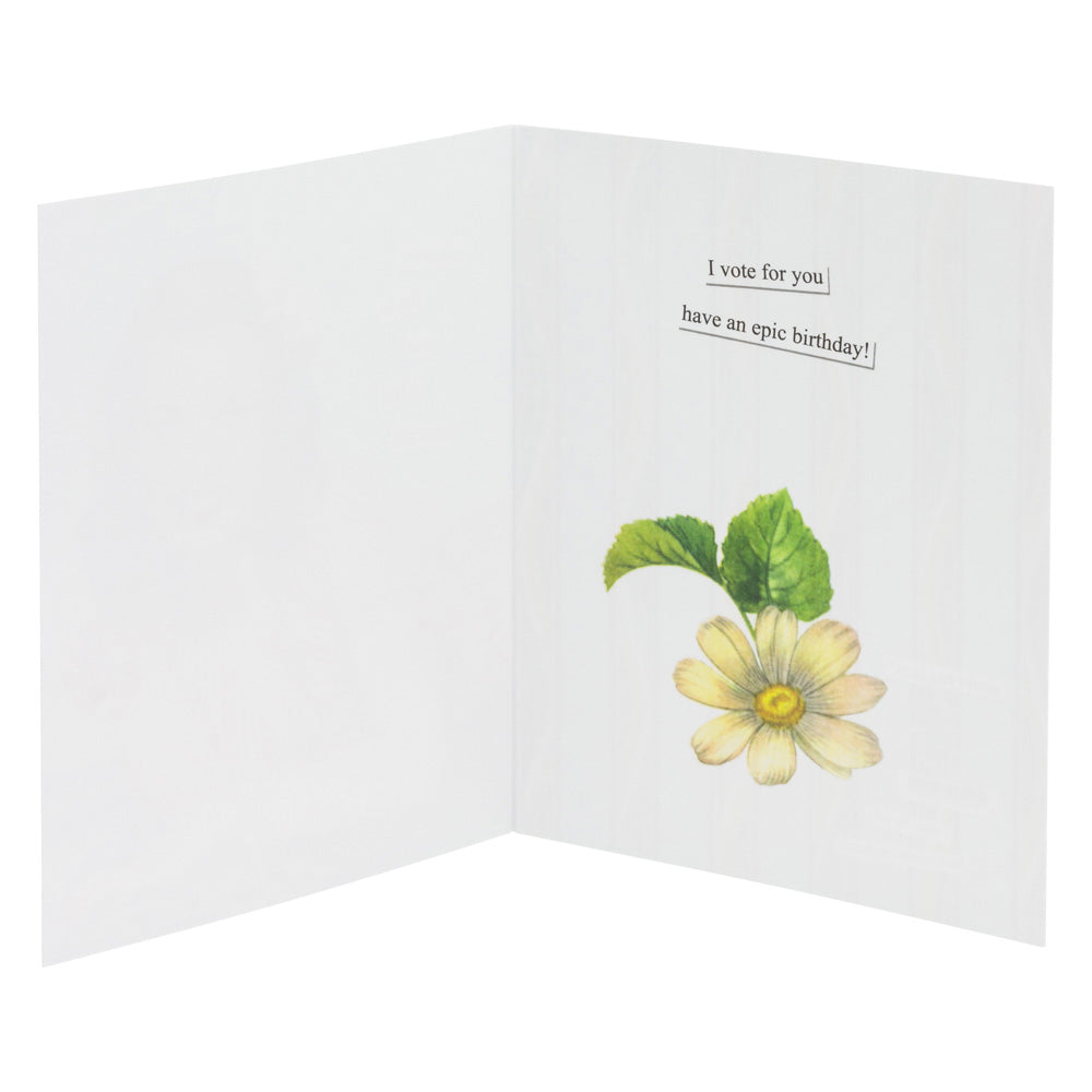 Anne Taintor Birthday Card Example