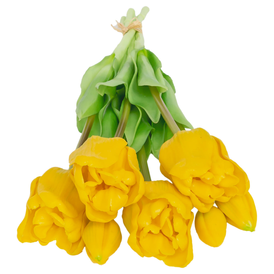 Long Stem Yellow Tulips