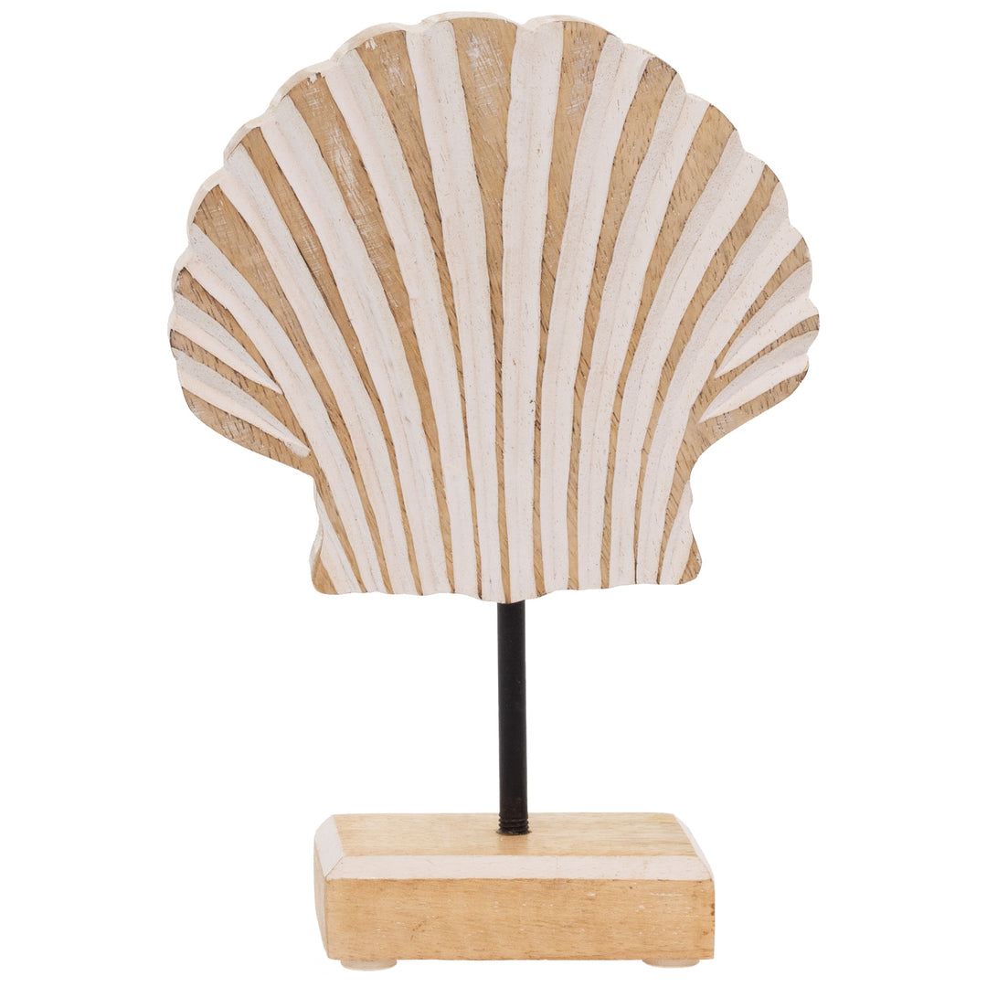 Whitewash Scallop Shell Small